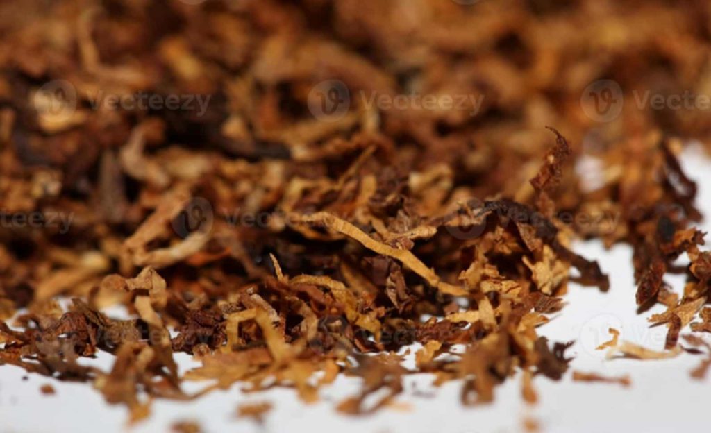 A close-up tableau of tobacco sheets
